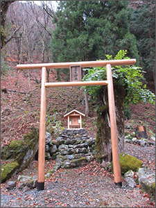 京都大学芦生研究林内の蘆生神社
