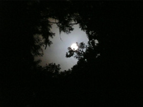 天河大辧財天社の境内から見上げた観月祭の満月